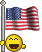 Flag_Usa